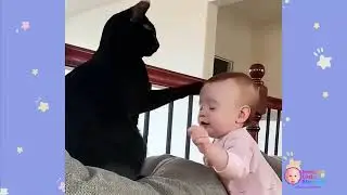 Tiny Hands, Big Purrs: A Child & Cat Love Story