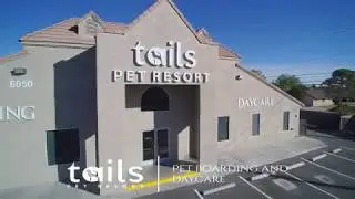 Tails Pet Resort