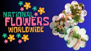 National Flowers with their meanings | National Flowers | Flowers day | Flowers | @DunyaVibes