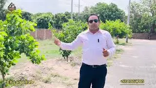 Buch villas multan 5 Marla low budget plot for sale