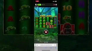 Chumba Casino live play.