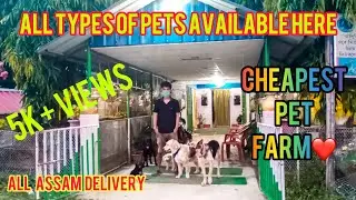 Cheapest PeT Shop in Goalpara || All ASSAM Delivery || Vlog 49