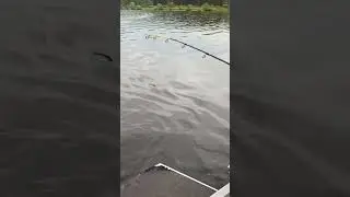 Спиннинг Mifine VANADIA PowerBoat 240 тест до 200г