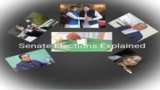 How Senate Election Process Works?| The analysis