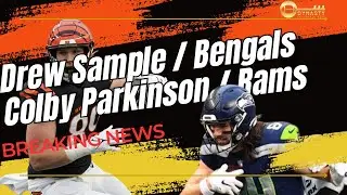 Dynasty Impact of Drew Sample and Colby Parkinson Signings