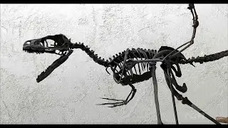 Texas Through Time Fossil Museum (Texas Country Reporter)