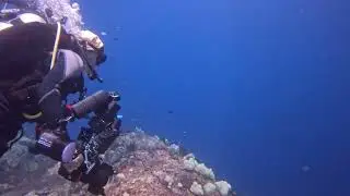 Flying with the currents in Raja Ampat