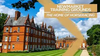 Newmarket Training Grounds: The Home of Horseracing