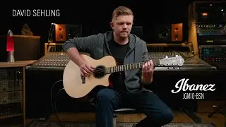 Ibanez AE410-LGS - David Sehling