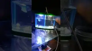 beautiful beta House