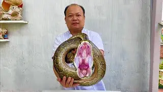 how to cook the best python meat // gun chef
