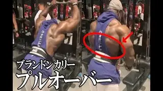 【解説】広背筋下部の分厚さを作る〈ブランドンカリー〉〈背中〉