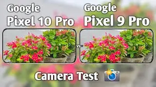 Google Pixel 10 Pro vs Pixel 9 Pro Camera Test Comparison
