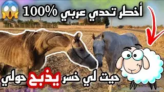 بمناسبة 200K درنا تحدي الخيول العربية 😱 و ليخسر يشري حولي🐏و لحكام هوما نتوما غير خليو تعليق ديالكم 🤠