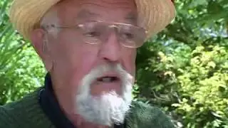 Po bečelah se vižej!