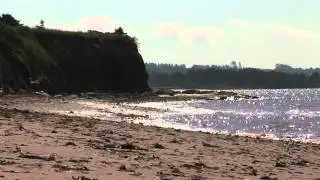 Scenic Argyle Shore