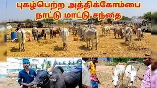 புகழ்பெற்ற அத்திக்கோம்பை நாட்டு மாட்டு சந்தை/Biggest Athikombai kangeyam Nattive Cow Market