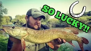 *** PIKE ATTACK *** Bolo Fishing The River Severn Near Shrewsbury