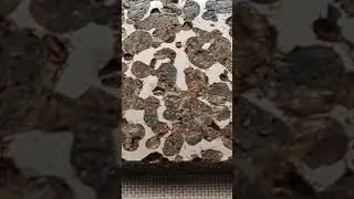 *PALLASITE METEORITE* @ *Museum der Natur* in Hamburg #minerals #geology #ore #science #meteorites
