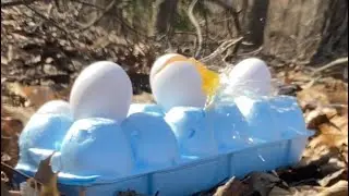 Shooting eggs with an air soft gun