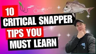 TOP 10 EARLY SEASON SNAPPER TIPS