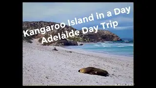Kangaroo Island tour in a day - Adelaide day trip