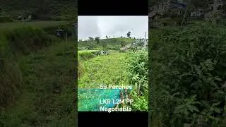 Land for Sale in Nuwara Eliya #lankapropertymarkt #landsforsale #nuwaraeliya #shorts