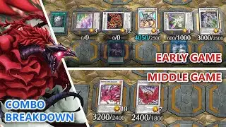 Black Rose Dragon Deck Combo Breakdown | Yu-Gi-Oh Master Duel
