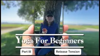 Beginner Seated Yoga: Release Tension, Add Stretch | Cat-Cow, Forward Fold | Midlife, Outdoors, Walk