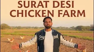 Surat street food and desi murghi farm