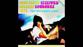 Shortcake Collage Tape - Spirited Summer (2013)