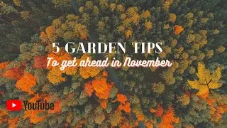 5 Garden Tasks To Get ahead in November