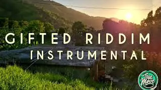 Reggae instrumental Riddim 2025 ( Gifted Riddim )