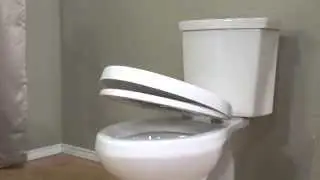 H2Option Dual Flush Right Height Elongated Toilet by American Standard