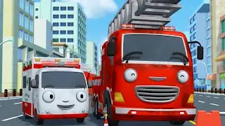 Frank and Alice are Awesome! - TAYO the Little Bus  💚 Super Toons TV - Best Cartoons