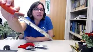 Practical Approaches to Disease Management 1&ndash; Field Tools for Plant Disease Identification