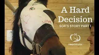 The Hardest Decision We've Had to Make | Sofi Part 1