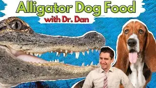 Alligator Dog Food!  Is it right for your dog?  Blue Buffalo Novel Protein Diet.  Dr. Dan explains.