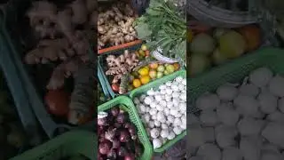 affordable vegetables #market #bacolodcity #healthy #food #youtube #shortvideo