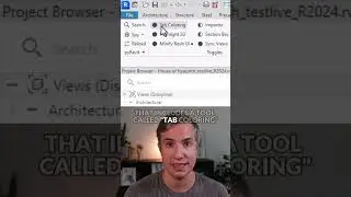 Colored Tabs in Revit