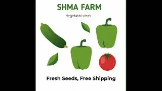 #SHMA FARM#Organic seed available🌱for sale