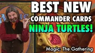 Don't Buy Teenage Mutant Ninja Turtles Packs! Buy These Commander Cards Instead! Magic The Gathering