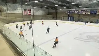 Bulls vs Polar Bears 1-27-2026