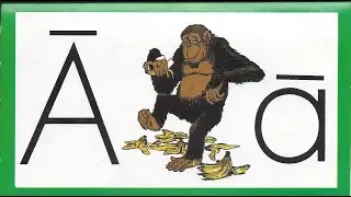 1001 01 Aging Ape - Learn to Read with Ace and Christi (A.C.E. Accelerated Christian Education)