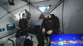 SLAYING PERCH WITH LIVESCOPE!!! 16