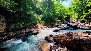 ASMR River & Bird Sounds for a Calming Evening Routine and a Restful Nights Sleep