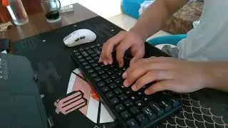 Vortex Series VX8 Pro || Typing Sound