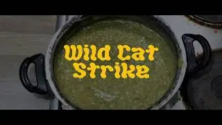 Wild Cat Strike - Swamp (Official Music Video)