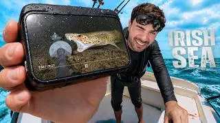 I Dropped a Camera to the Bottom of the Irish Sea