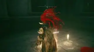 X and Jake from StateFarm play ELDEN RING part 17